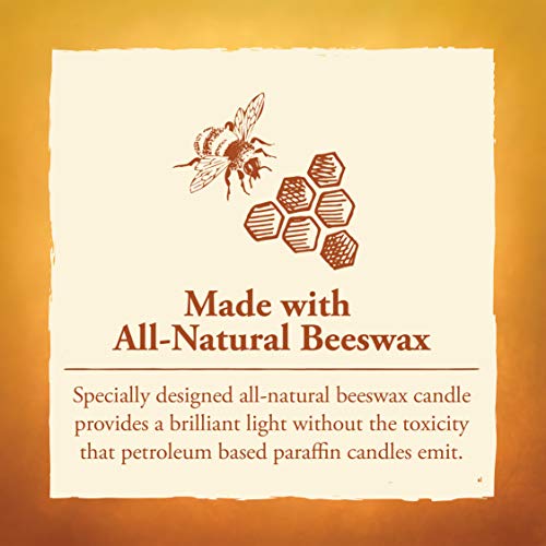 Eco-Friendly 70-Hour Beehive Candle with Natural Beeswax and Cotton Wick for Relaxation
| Long-Lasting 70-Hour Beehive