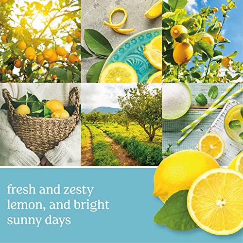 Yankee Candle Sicilian Lemon Scented Classic 22oz Large Jar Single Wick Candle for Home Decor, Parties and Gifts, Over 1